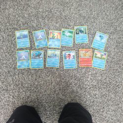 12 Pokémon  11 Water And One Fire 