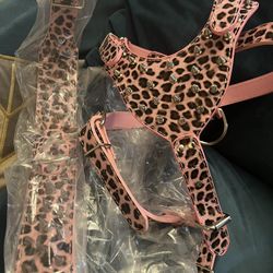 Pink Spiked Leopard Collar And Harness