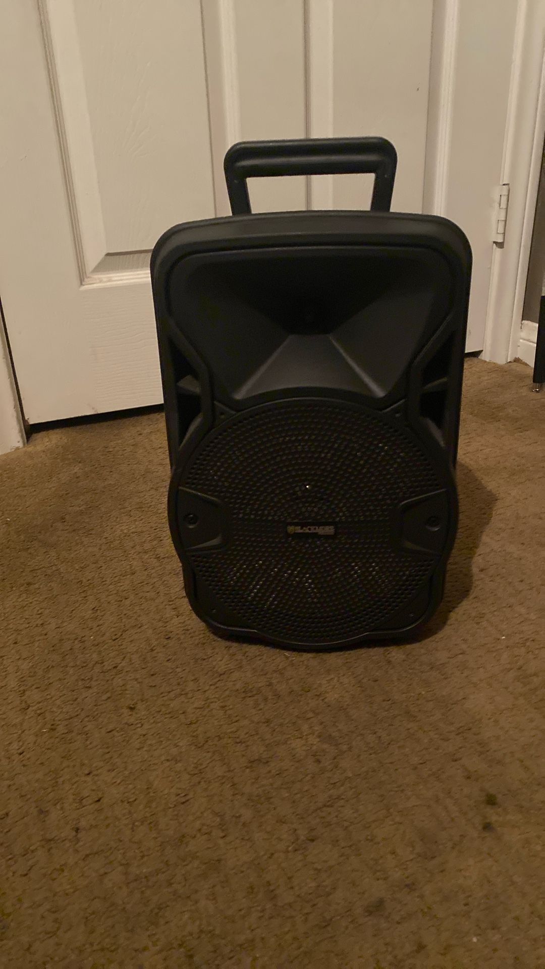 Blackmore Pro Audio Dj Speaker