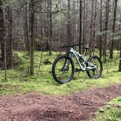2022 Specialized Stumpjumper Comp