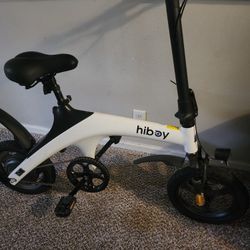 Electric Bike