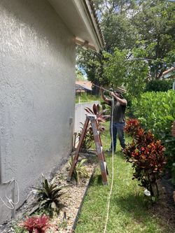 Interior /exterior Paint