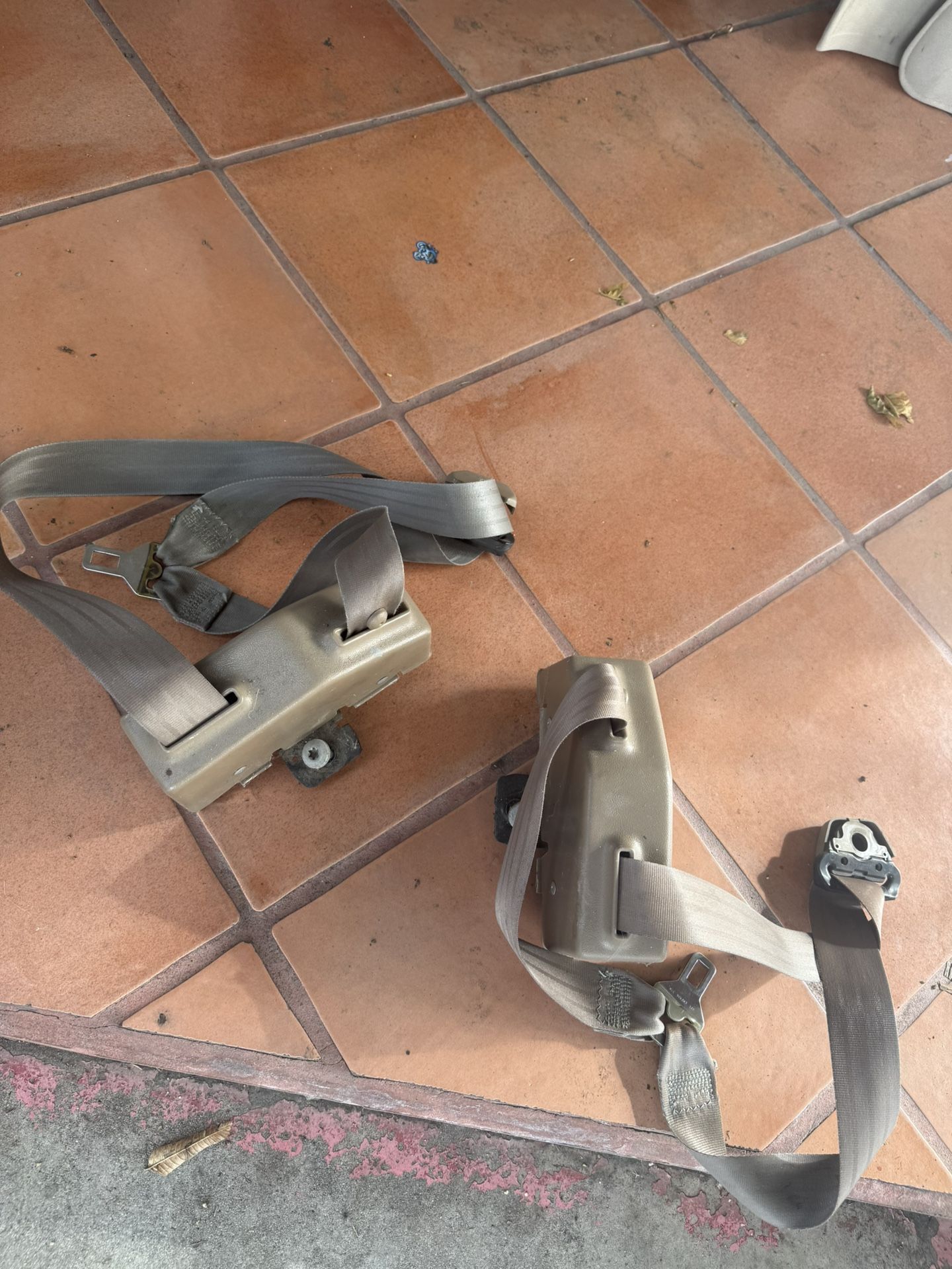 Obs Seat Belts