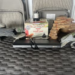 Reptile Supplies