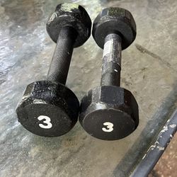 3 pound dumbbell weights 