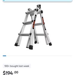 14 Ft Little Giant Ladder 