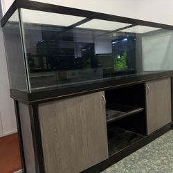 125 Gallon Fish Tank / Aquarium / Terrarium 