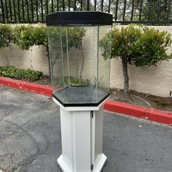 40-Gallon Hexagon Fish Tank + Stand