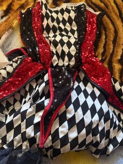 Jester Women Costume Size Small