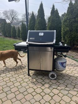 Weber spirit grill
