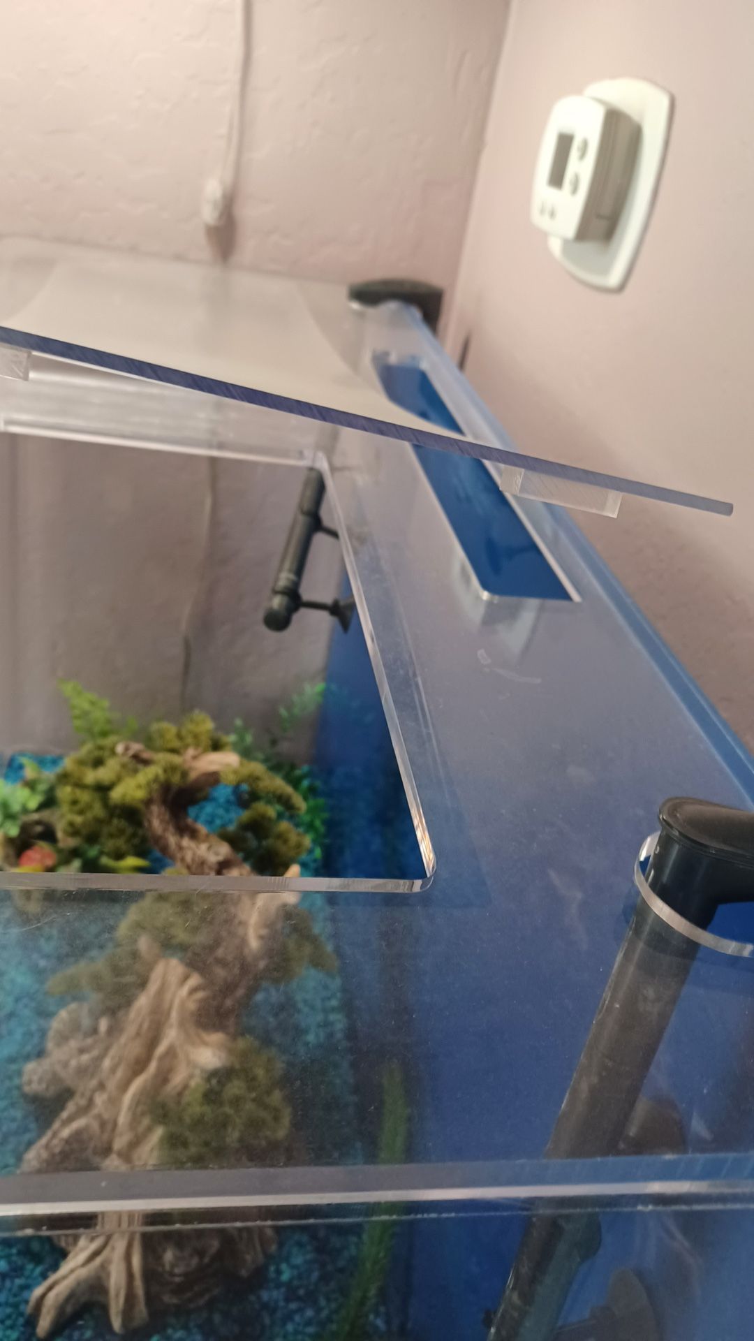 Aquarium With Stand for Sale in Henderson, NV OfferUp