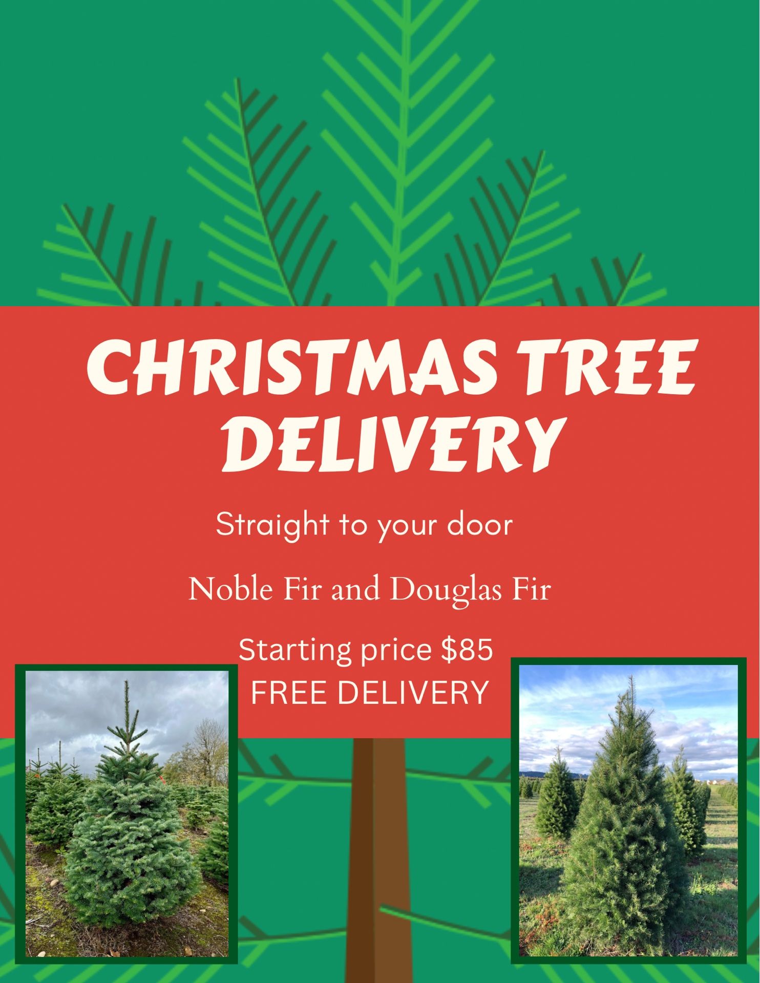 Christmas Tree Delivery