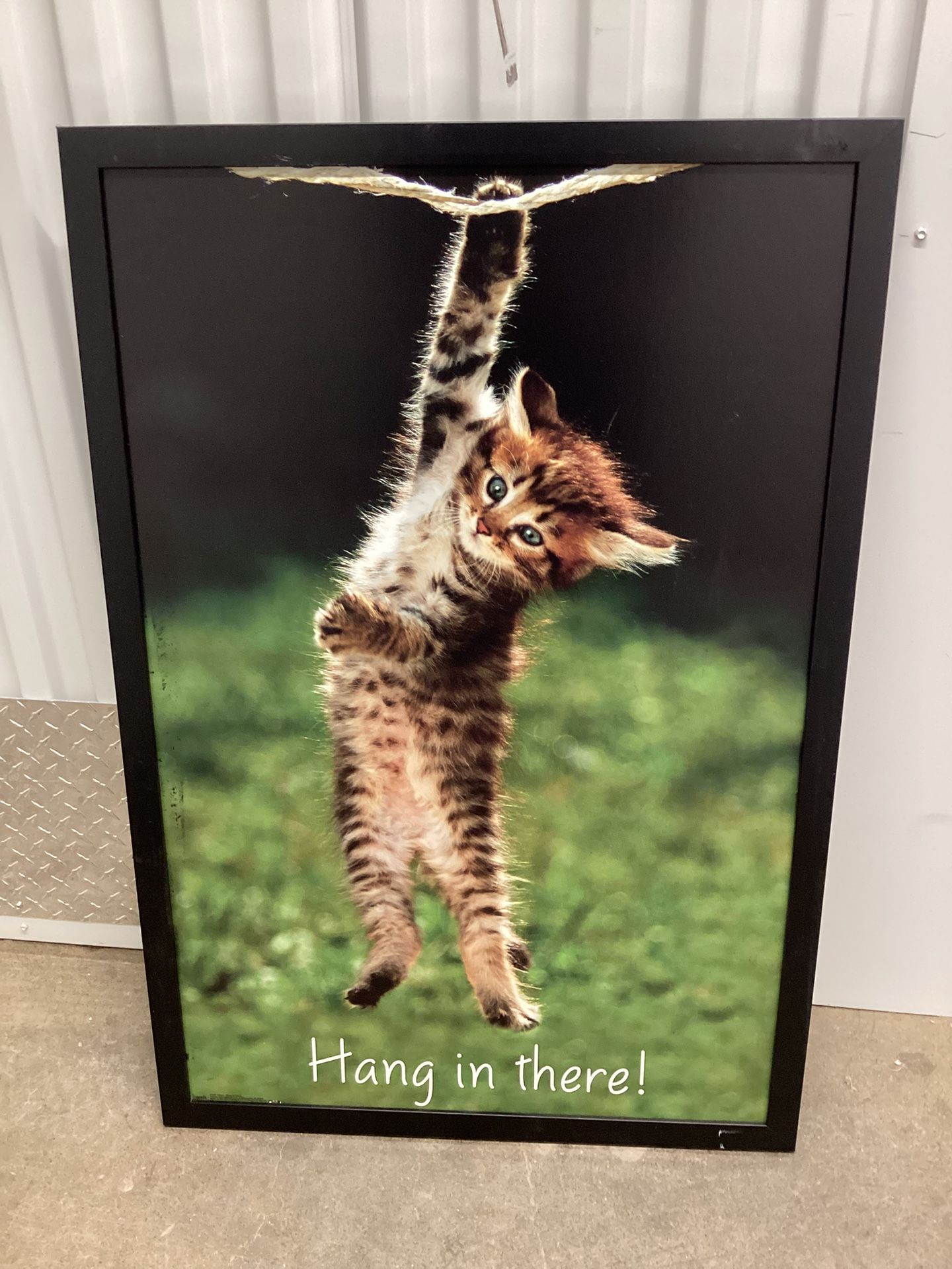 Hang In There Picture