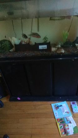 55 gallon tank with every thing 8 fishes