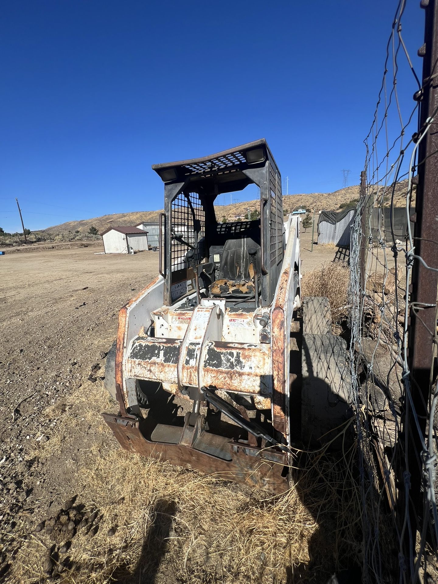 Bobcat