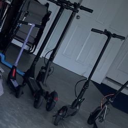 Electric scooter  (adult) 