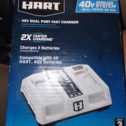 Hart Dual Port Fast Charger 