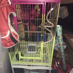 Large Bird 🦅 Cage