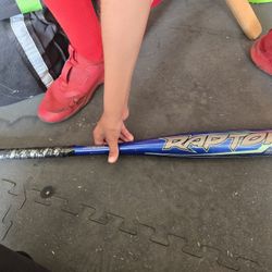 Raptor Baseball Bat
