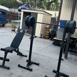 Gym Weights