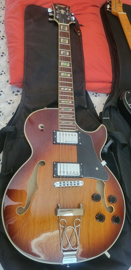 Semi Hollow Electric Guitar- NICE-$150