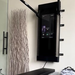 Tonal Intelligent Home Gym