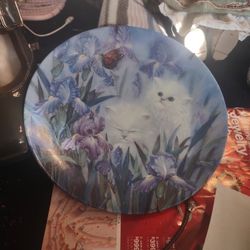 Garden Discovery By Lily Chang