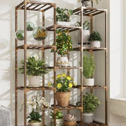 Plant Shelf