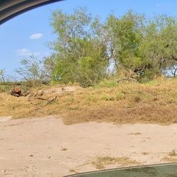 Des Montar Terreno / Land Tree Pulling Clearing 