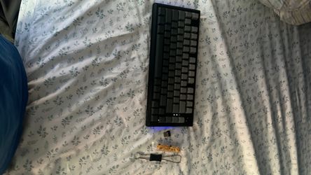 Keyboard snapdragon
