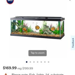 55 gal fish or reptile tank