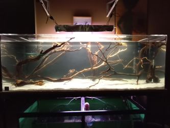 Aquarium Wood Driftwood Birdcage