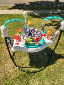 Fisher Price Baby Bouncer