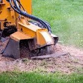 Stump Grinding For Sale