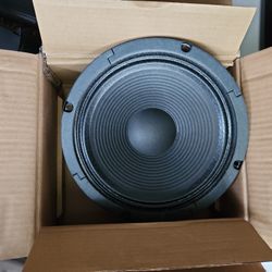 12" 30w Bass Amp Speaker