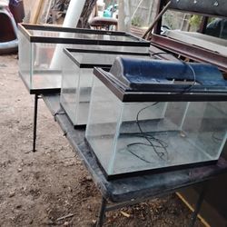 3 aquariums 36 In.Lengthby 16 In Width..2-18 In.Aquariums13 In Width