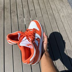 Men’s Nike Dunk For Sale
