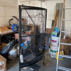 Bird Cage