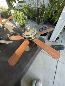 fan