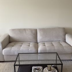 Modern Beige Couch