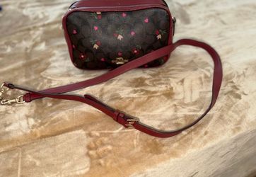Coach purse authentic- hearts and flowers
