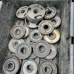 2.5 pound olympic cast iron plates 