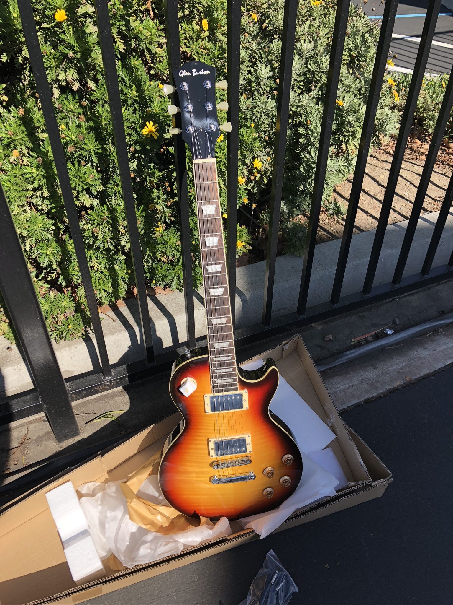 Beautiful 😻 Electric Guitar 🎸