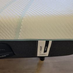 Proadapt Medium Hybrid 45% Off!!!!