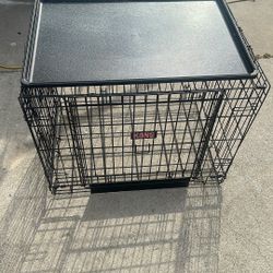 Dog Kennel