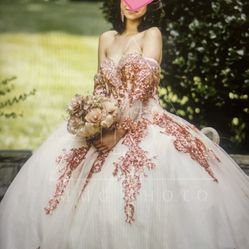 Beautiful HeartShaped Champagne Quinceanera Dress  