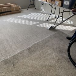 Steam Carpet Shampoo