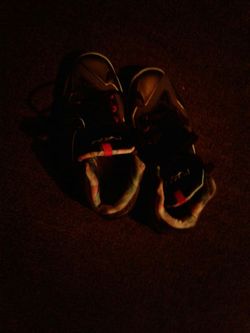 LeBron 11s 25$