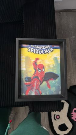 Spider-man frames