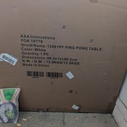 Ping Pong Table 